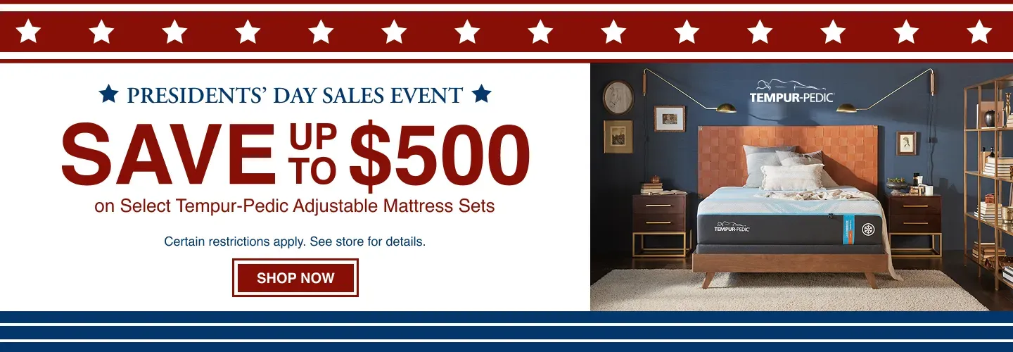 President's Day Sale TempurPedic